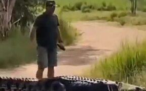 Nothing's More Ballsy Than An Australian Man - Animals - VIDEOTIME.COM