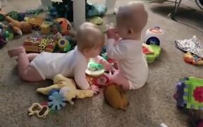 Cute Baby Twin Fighting