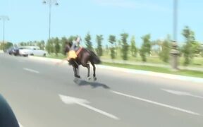 Lady Horse Riding - Fun - VIDEOTIME.COM