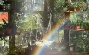Stunning Rainbow In A Winter Garden - Fun - VIDEOTIME.COM