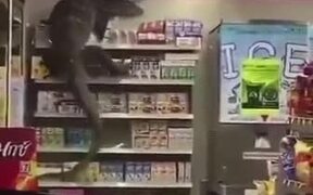 Godzilla Paid A Visit To The Grocery Store