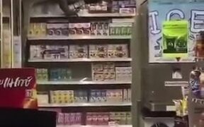 Godzilla Paid A Visit To The Grocery Store - Animals - VIDEOTIME.COM