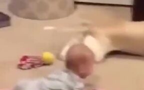 Baby Crawl Races Against Dog - Animals - VIDEOTIME.COM