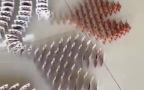  The Most Intricate And Largest Card Domino Trick 