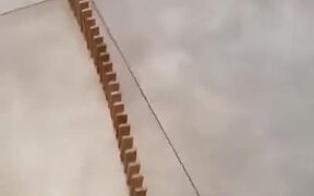 Possibly The Longest Domino Chain Reaction - Fun - VIDEOTIME.COM