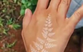 Cool Silver Fern Spore Tattoo