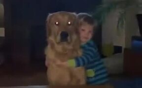 Cute Doggo Hugs Back The Child