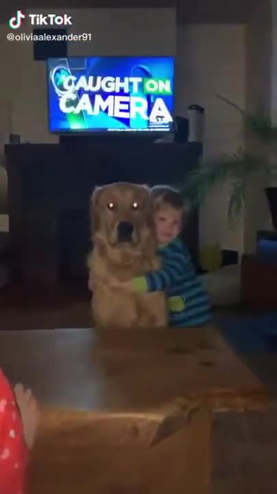 فيديو Cute Doggo Hugs Back The Child- شاهد على Y8.com