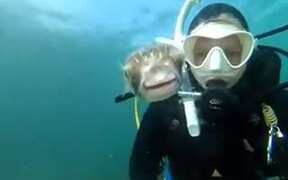 Friendly Pufferfish Wants To Be In A Selfie
