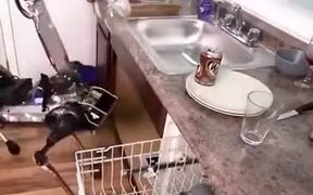 Dishwashing Robot Works Well - Tech - VIDEOTIME.COM