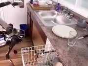 Dishwashing Robot Works Well