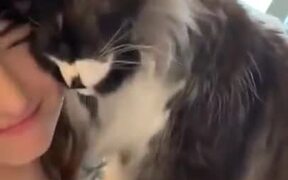 Cattos Only Want Attention - Animals - VIDEOTIME.COM
