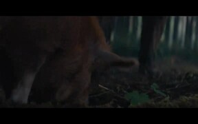 Pig Trailer