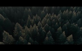 Pig Trailer - Movie trailer - VIDEOTIME.COM