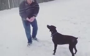 Not The Most Athletic Doggo Out There - Animals - VIDEOTIME.COM