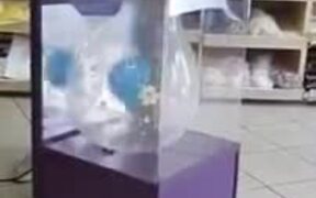 Here's How They Put Balloons Inside Balloons