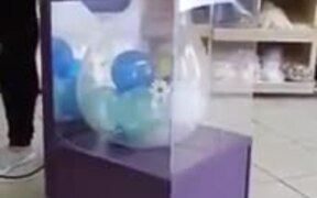 Here's How They Put Balloons Inside Balloons