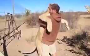 Lioness Meets Human Friend After A Long Time - Animals - VIDEOTIME.COM