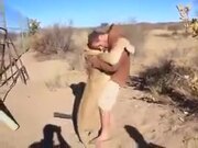 Lioness Meets Human Friend After A Long Time
