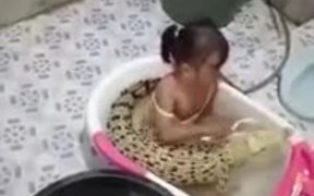 Child Brushes Crocodiles Teeth - Animals - VIDEOTIME.COM