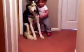 Baby Scared Of Vacuum Cleaner - Animals - VIDEOTIME.COM