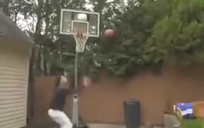 Basketball Dog - Animals - VIDEOTIME.COM