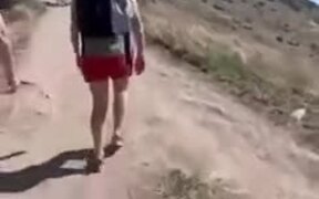 Woman Gets The Fake Snake Prank Done On Her