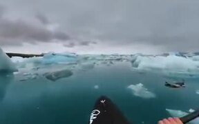 Kayaking Through The Frozen World Of The Arctic - Fun - VIDEOTIME.COM