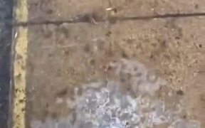 Walking On And Breaking Thin Ice - Fun - VIDEOTIME.COM