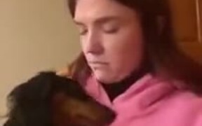 Dog's Adorable Reactions To Getting Kissed