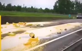Think You're Having A Bad Day? - Fun - VIDEOTIME.COM