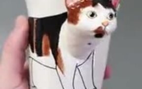 $5 Gets You This Cool Cat Coffee Mug - Fun - VIDEOTIME.COM