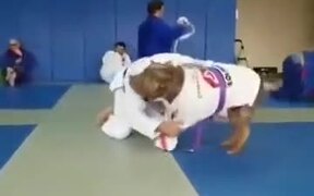 Jiu Jitsu With A Big And Happy Dog