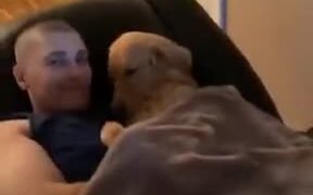 Beautifully Cute Moment Between A Guy And His Dog - Animals - VIDEOTIME.COM