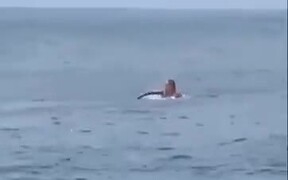 Surfer Surfing A Barrel Wave Gets Knocked Down - Sports - VIDEOTIME.COM