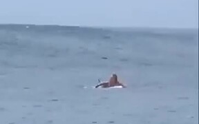 Surfer Surfing A Barrel Wave Gets Knocked Down