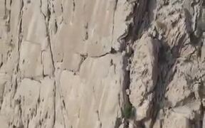 How Do Even Ibex Climb Up Those Mountains!? - Animals - VIDEOTIME.COM