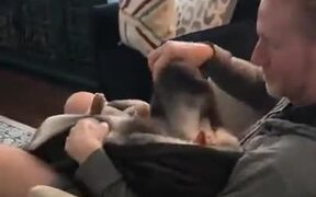 Catto Gets Wrapped Up Like A Baby - Animals - VIDEOTIME.COM