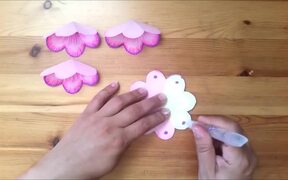 Seven Flowers - Fun - VIDEOTIME.COM