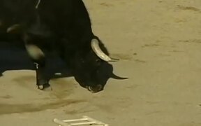 Guy Jumps Over a Bull