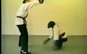 Karate Chimp Amazing! - Animals - VIDEOTIME.COM