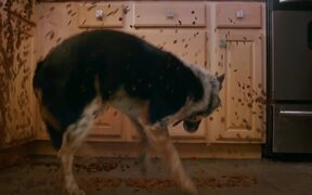 Pups Alone Official Trailer
