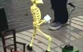 Skeleton Street Show - Fun - VIDEOTIME.COM