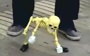 Skeleton Street Show