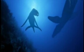 Jurassic Sea Monster - Animals - VIDEOTIME.COM