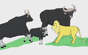 Wild Animals - Fun Learning - Anims - VIDEOTIME.COM