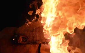 Setting Fire to a Bugatti - Tech - VIDEOTIME.COM