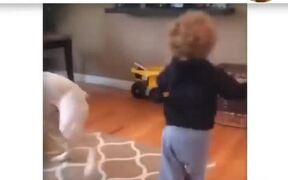 Dogs And Babies Are Best Friends - Animals - VIDEOTIME.COM