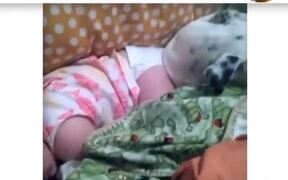 Dogs And Babies Are Best Friends