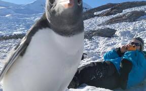 Antarctic Selfie